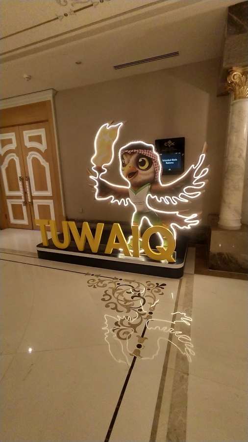 Tuwaiq Mascot Installation